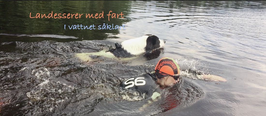 Exempelbild 1